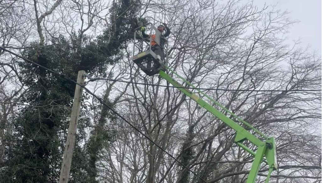 the top of a bright green cherry picker with a man in the basket with the tops of bare trees in the background