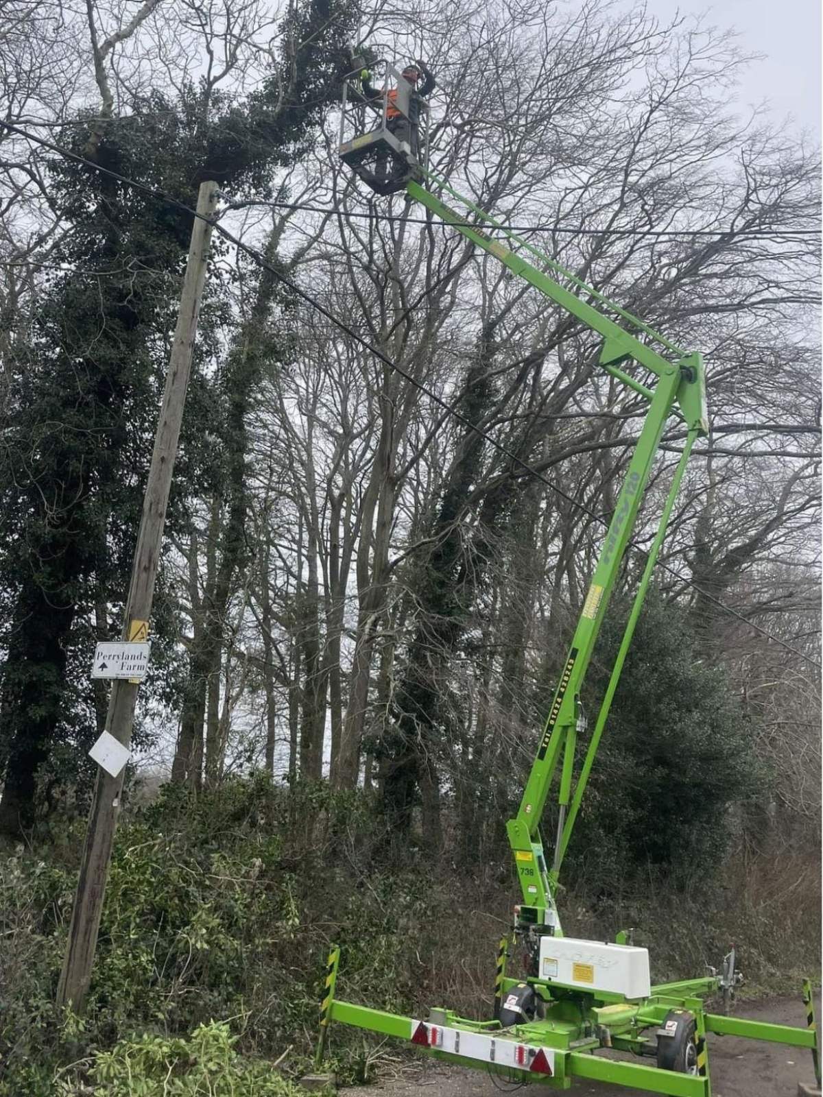a bright green cherry picker next to a line of trees with a man in the extended cherry picker basket