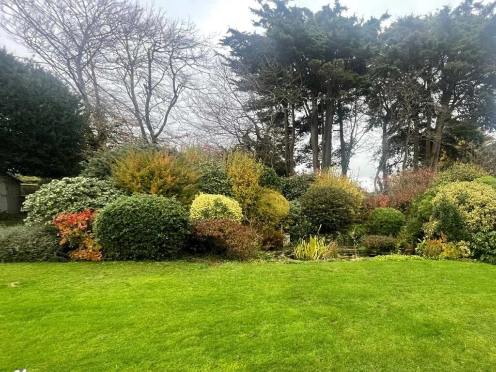 some well shaped shrubs and bushes and hedges in various colours and varieties