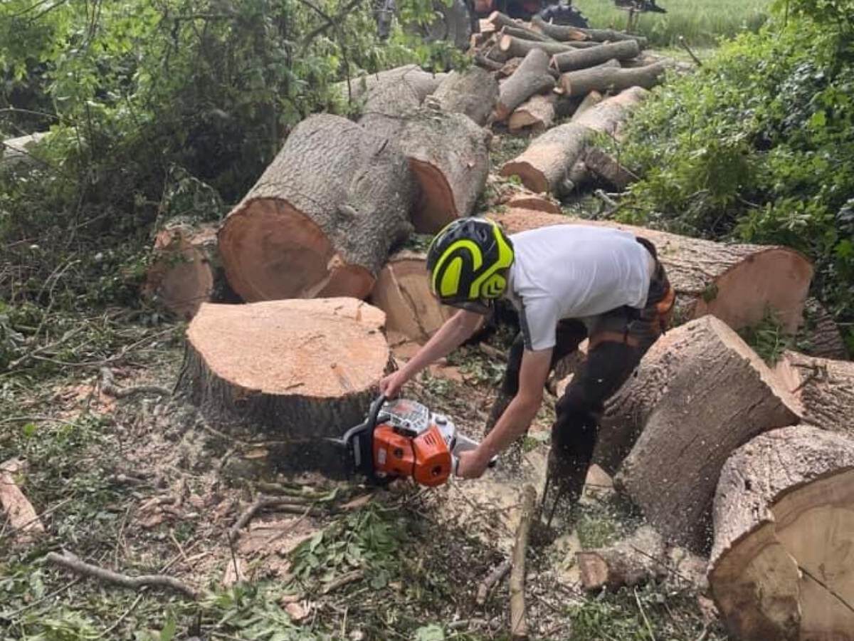 a tree surgeon surrounded by chunks of tree trunk that he is cutting with a chainsaw