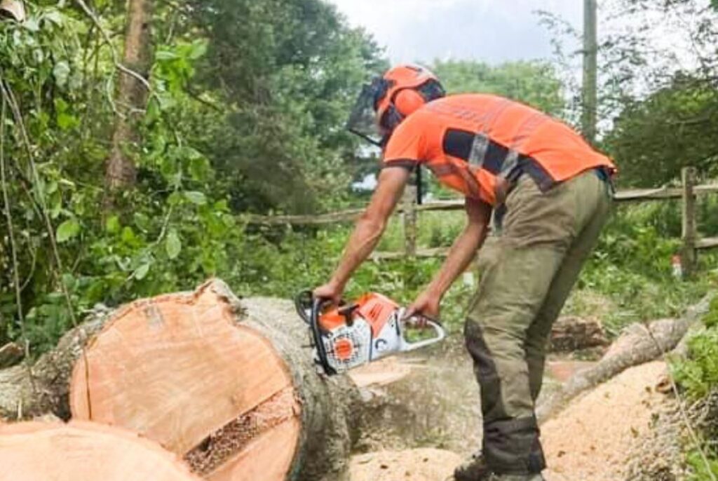 a felled tree with a tree surgeon cutting it with a chainsaw. the man is wearing a bright orange top and green trousers